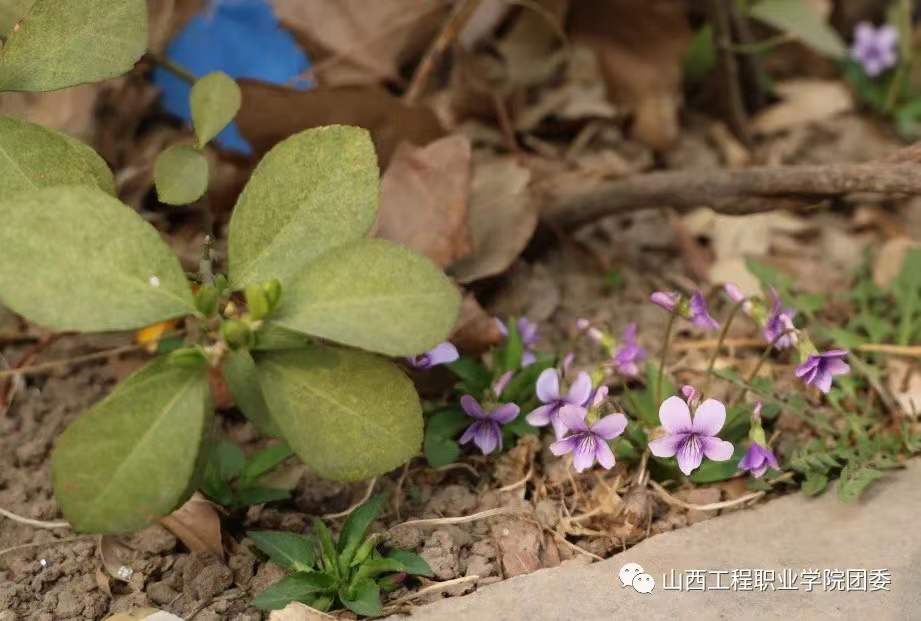 微信图片_20220318220003.jpg 微信图片_20220318220003.jpg